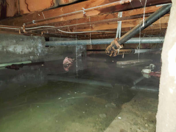 Best Flood restoration services  in Pataskala, OH