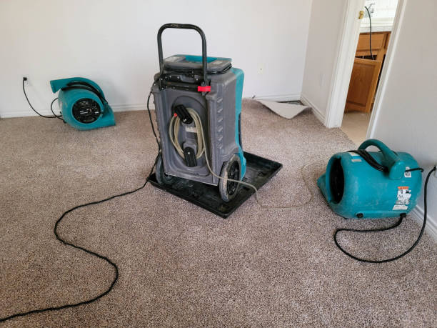 Best Fire Damage Restoration  in Pataskala, OH
