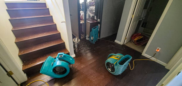 Best Mold removal after water damage  in Pataskala, OH