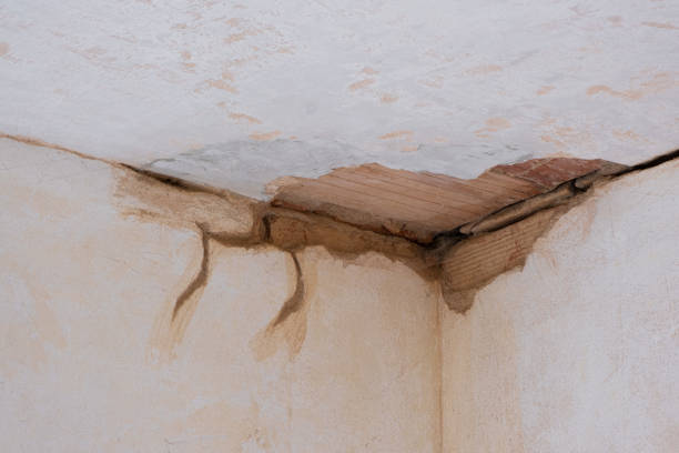 Best Water damage contractors near me  in Pataskala, OH