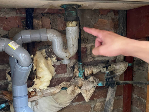 Best Professional water damage repair  in Pataskala, OH