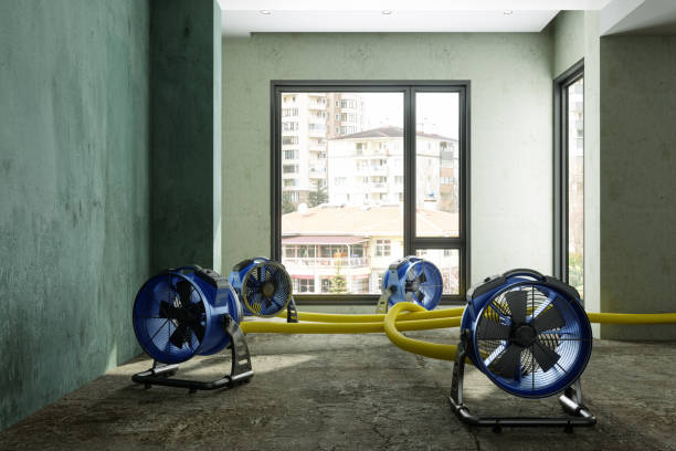 Best Mold removal after water damage  in Pataskala, OH