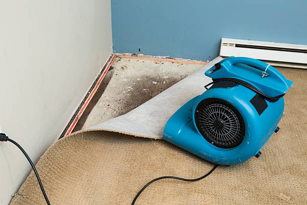 Best Mold removal after water damage  in Pataskala, OH